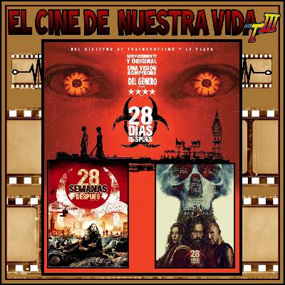 ECDNV - T3 - 76 - 28 días, semanas y años después