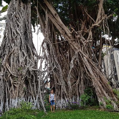 Summary of Learning - EC&I 831