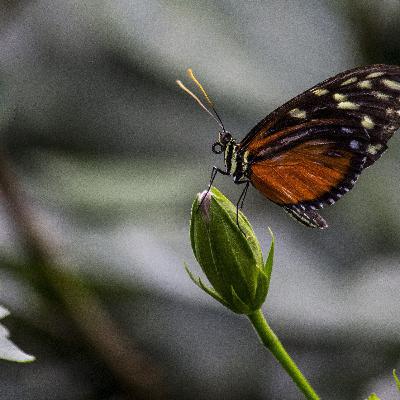 Introductie cursus hooggevoeligheid