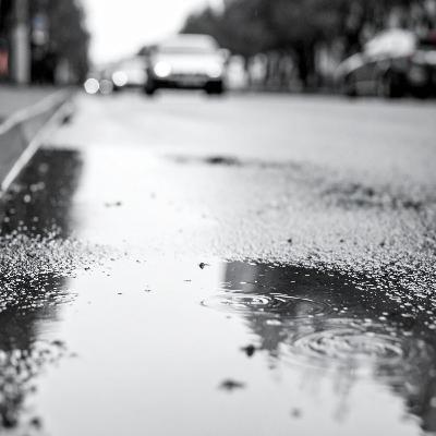 SCB PODCAST#177『RainySeasonBookList2025 TakadaSelect』