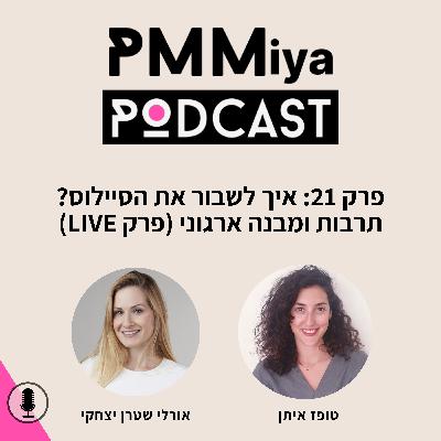 פרק 21: איך לשבור את הסיילוס? תרבות ומבנה ארגוני - חלק ב׳