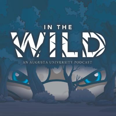 How Gen Z students can find balance in college with wellness and support How Gen Z students can find balance in college with wellness and support