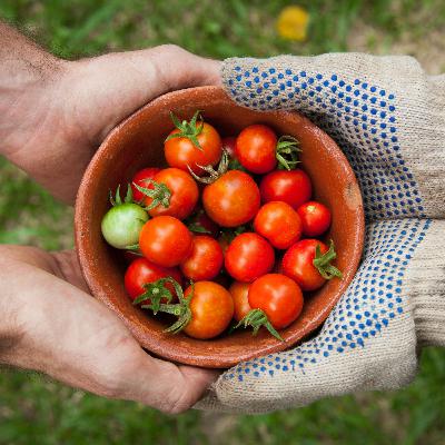 Essential Practice 1 GENEROSITY
