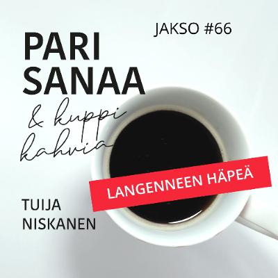#66 Langenneen häpeä