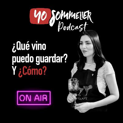 ¿Qué vino puedo guardar? Y ¿Cómo?