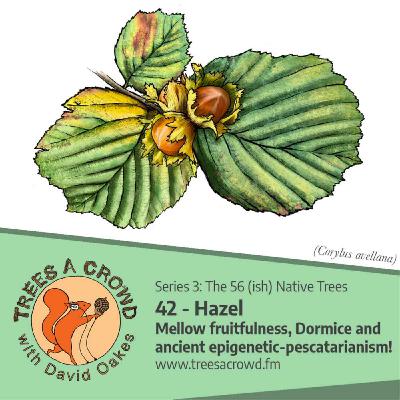 Hazel: "Monsieur, with your mellow fruitfulness, Dormice and ancient epigenetic poetical-pescatarianism, you are really spoiling us!" Hazel: "Monsieur, with your mellow fruitfulness, Dormice and ancient epigenetic poetical-pescatarianism, you are really spoiling us!"