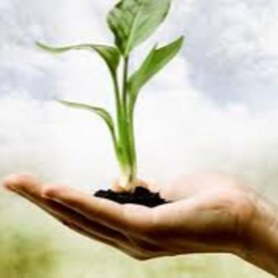 Mitti ka bartan aur Mitti ka Insan