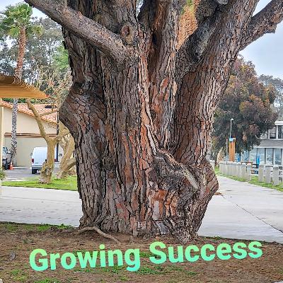 Increasing the Success Experience in Your Life