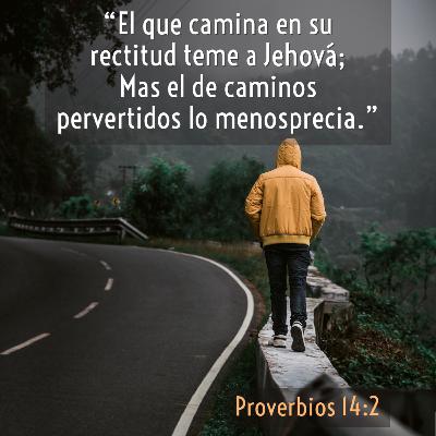 42 - Joyas de Sabiduría - Nuestros pasos nos delatan [Proverbios 14:2-3]