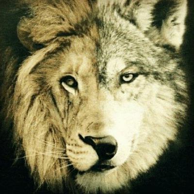 Old Cherokee tale of The Lion and The Wolf Old Cherokee tale of The Lion and The Wolf