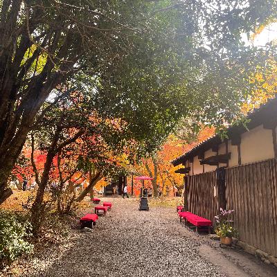 #39 雑談回　最近のアレコレ