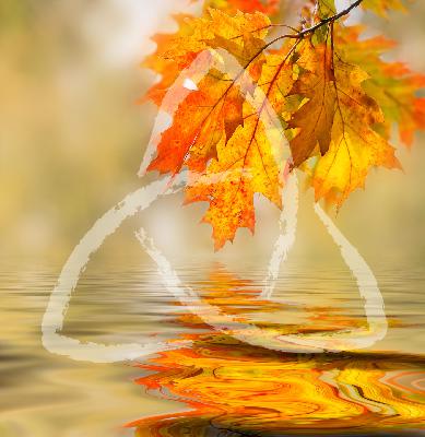 1 Thessalonians 4 15-18 - Encourage each other with these words