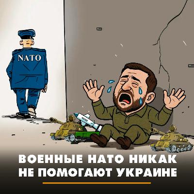 Военные НАТО никак не помогают Украине