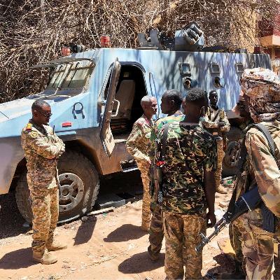 Sudanese army celebrates advances against RSF in North Kordofan state Sudanese army celebrates advances against RSF in North Kordofan state