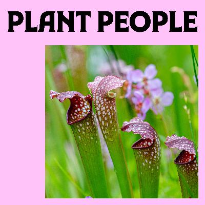 Pitcher Plants with Dr. Rob Naczi Pitcher Plants with Dr. Rob Naczi