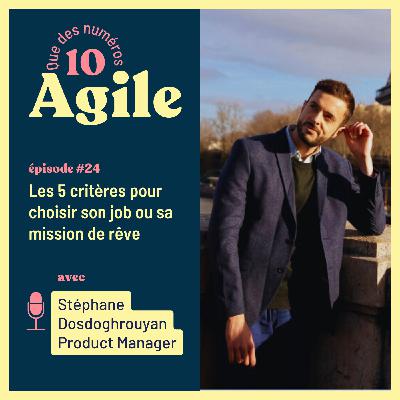 #24 - Les 5 critères pour choisir son job ou sa mission de rêve - Stéphane Dosdoghrouyan