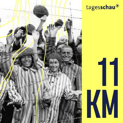 Holocaust-Gedenken: Wie Israel fast in Bayern gegründet wurde