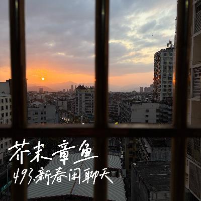 493.新春闲聊天