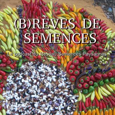 (B)rèves de semences - épisode 1 / Antoine