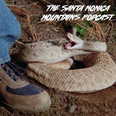 The Greatest Generation - The Santa Monica Mountains Podcast: Don’t Take Shits, Don’t Take It Out (Baywatch S1E21)
