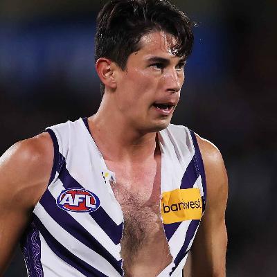 Round 5: Port Adelaide