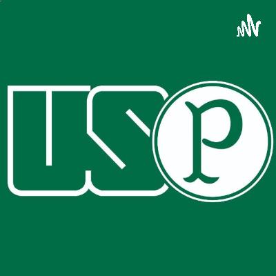 As contratações mais decepcionantes da história do Palmeiras | #04