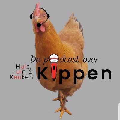 Kippen houden is helemaal niet makkelijk.