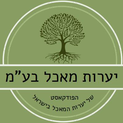 01 - מה זה יער מאכל?