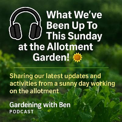 🎧 🌞 What We’ve Been Up To This Sunday at the Allotment Garden!