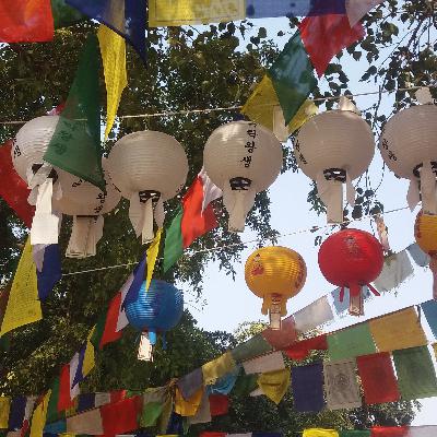 What we can do ? What we can do ?