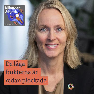 Anja Hannerz. Bankerna och en ny tid för hållbarhet Anja Hannerz. Bankerna och en ny tid för hållbarhet