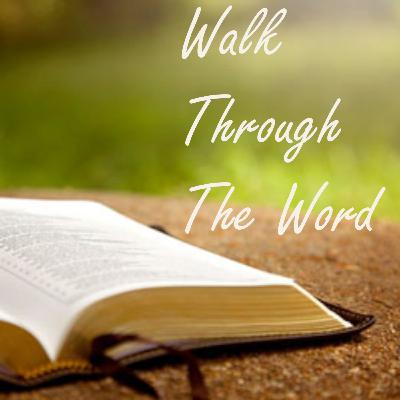 Walk Through The Word (Trailer)
