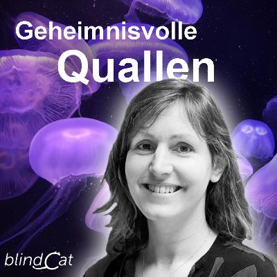 Charlotte Havermans und die geheimnisvollen Quallen