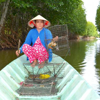 Tiêu điểm - Ngày hội cua Cà Mau: Người dân mong "giá bền", HTX muốn "xuất ngoại" Tiêu điểm - Ngày hội cua Cà Mau: Người dân mong "giá bền", HTX muốn "xuất ngoại"