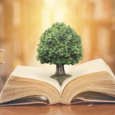 TIMELY WISDOM (PASTOR MADELINE LEWIS)