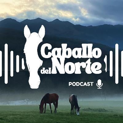 Horse Agility, nutrición y bienestar del caballo con Sonia González