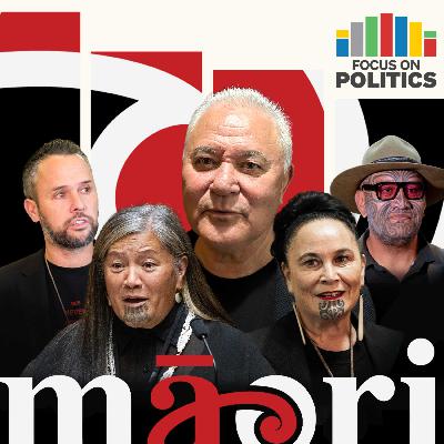 From reset to regret: Te Pāti Māori at war