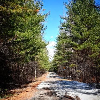 چه‌جوری میتونیم هم فرکانس خواسته‌هامون بشیم؟