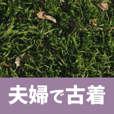 #55着目 「 ヘンな話。 」