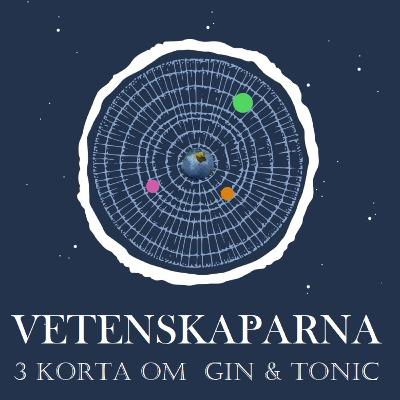 3 korta om Gin & Tonic