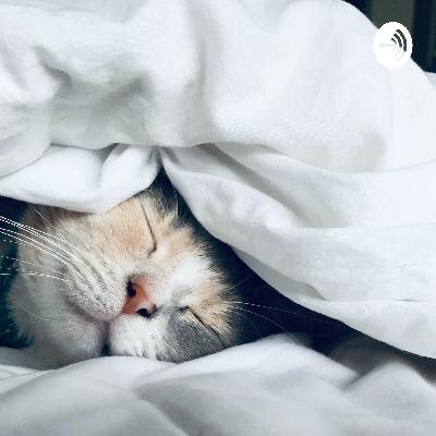 マイクラのチャンネルを作りました