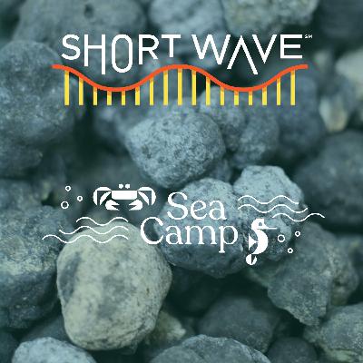 Sea Camp: To Mine Or Not To Mine