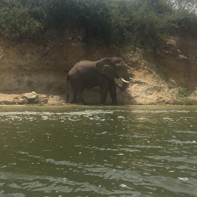 Fort Portal - Queen Elizabeth