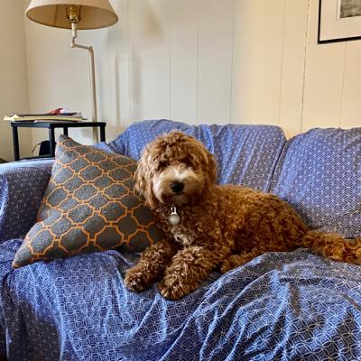 Life with Ruthie day 1