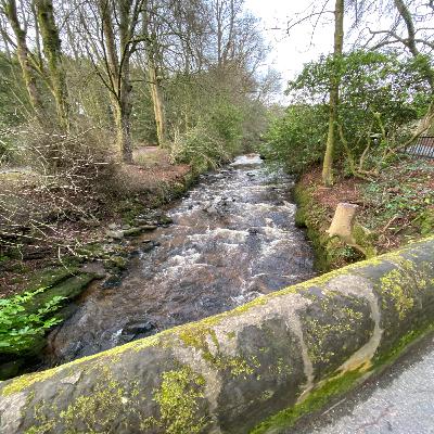 Rehab, River Ayr Way & UESCA Nutrition Takeaways