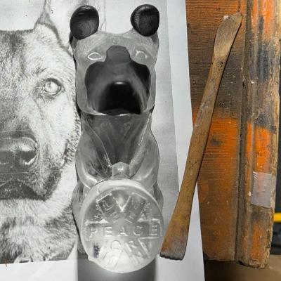 Episode 231 Episode 231