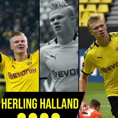 Erling Haaland