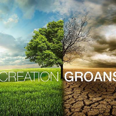 Creation Groans Creation Groans