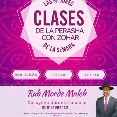 RAB MORDEJAY MALEJ- PERASHA CON ZOHAR- NOAJ 576