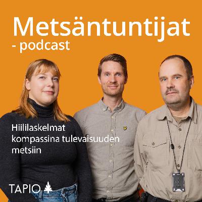 Hiililaskelmat kompassina tulevaisuuden metsiin